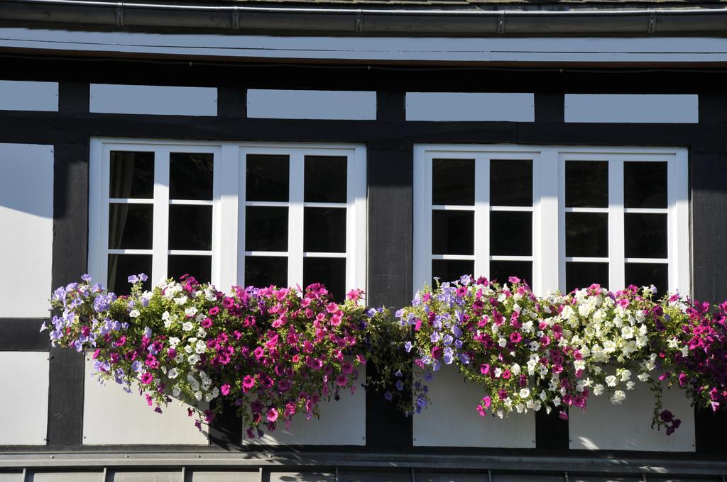 Landidyll Hotel Haus Hochstein Eslohe Exterior photo